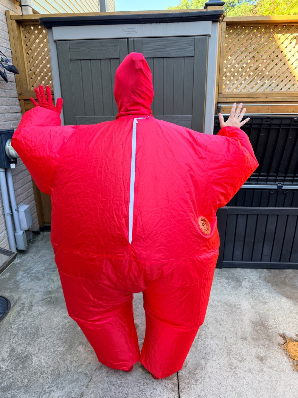 2 Adult Inflatable Halloween Costumes –Working Condition Questionable READ Disc. - Picture 3 of 15